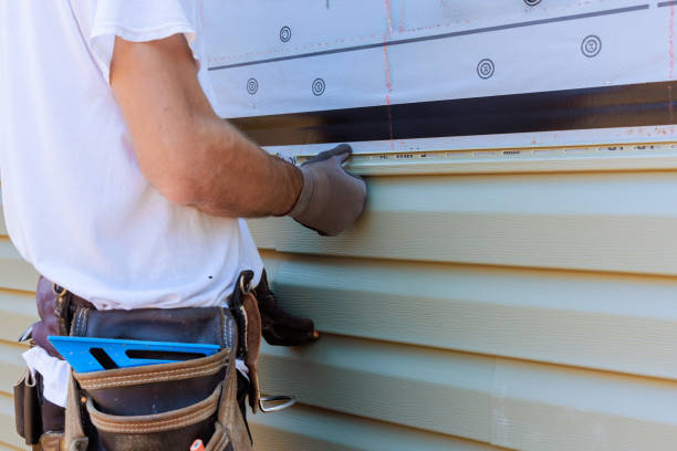 Best Vinyl Siding Installation  in South Paris, ME